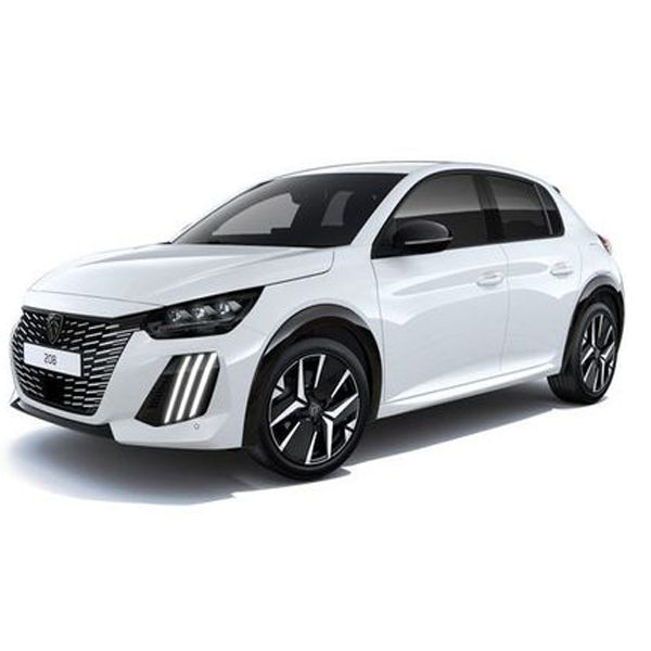 Peugeot 206 1400cc a/c Manual or Similar